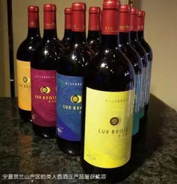 筑底·塑魂 國(guó)產(chǎn)葡萄酒的規(guī)模效益與中國(guó)塔基的鍛造之路